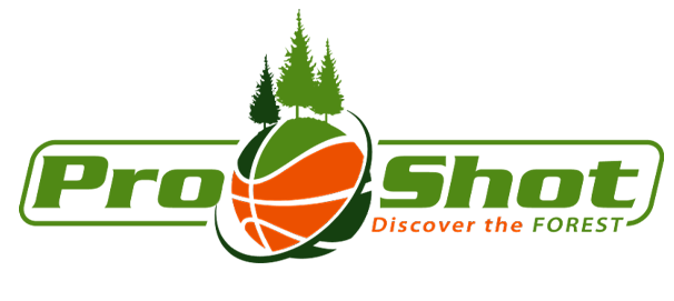 discover-the-forest
